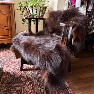 Antique Black Bear Hide